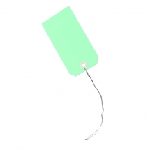125mm x 63mm Green Card Tags with 10inch Wire